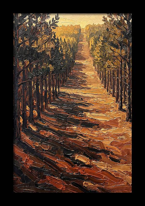 Pine Plantation Pathway