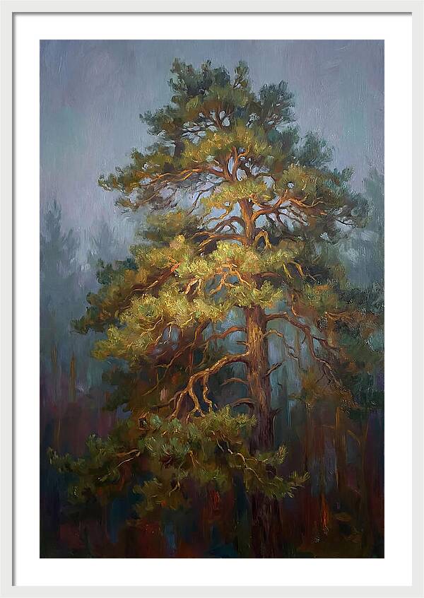 Pine Tree