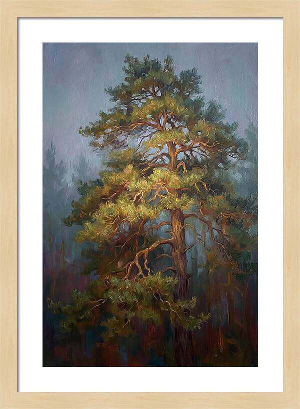Pine Tree