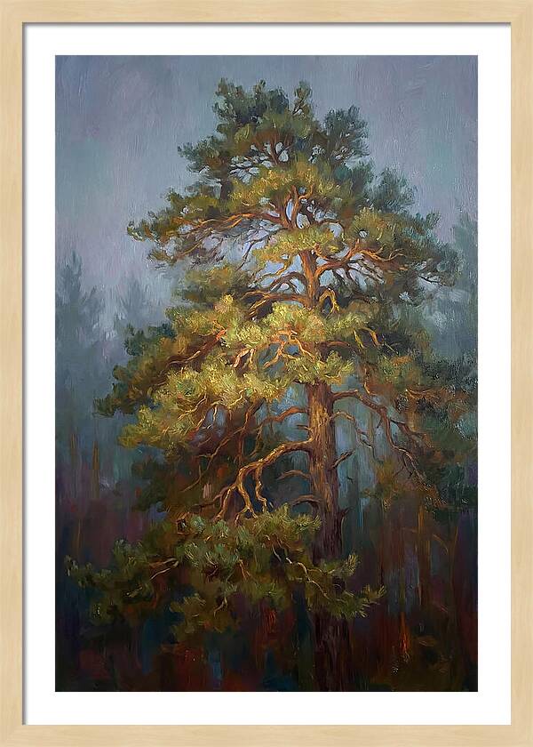 Pine Tree