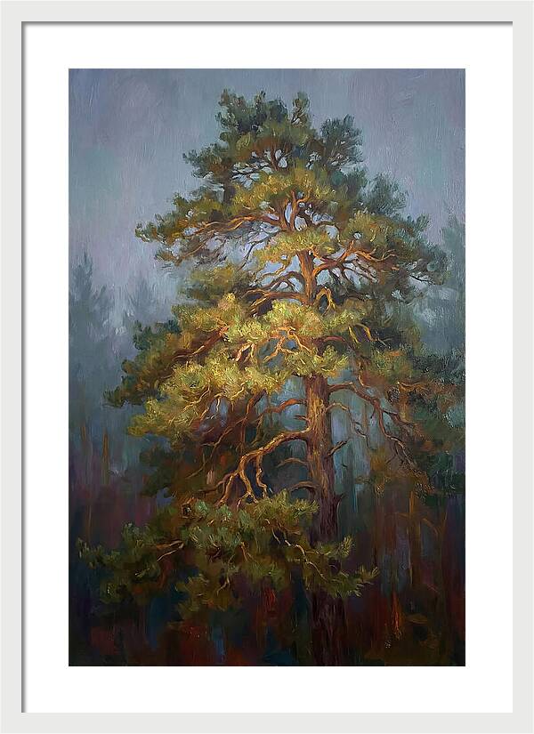 Pine Tree