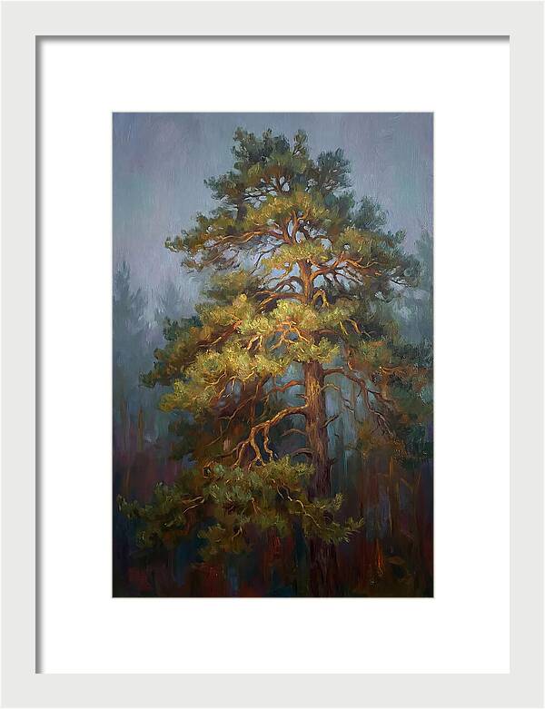 Pine Tree