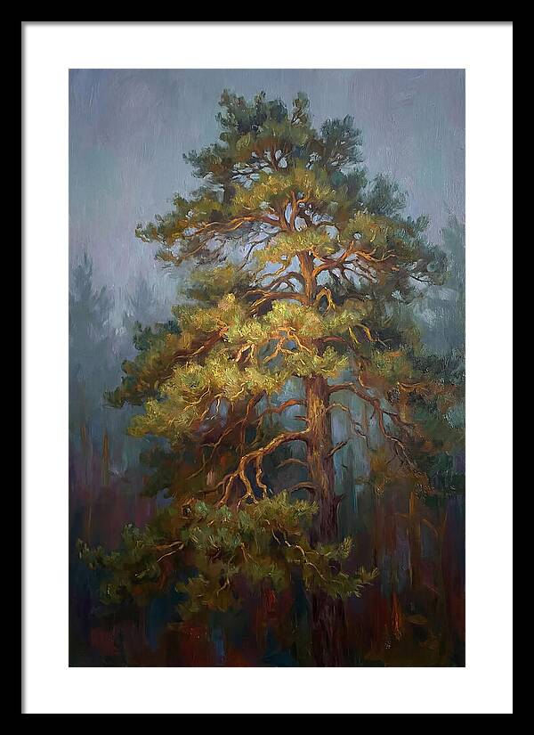 Pine Tree