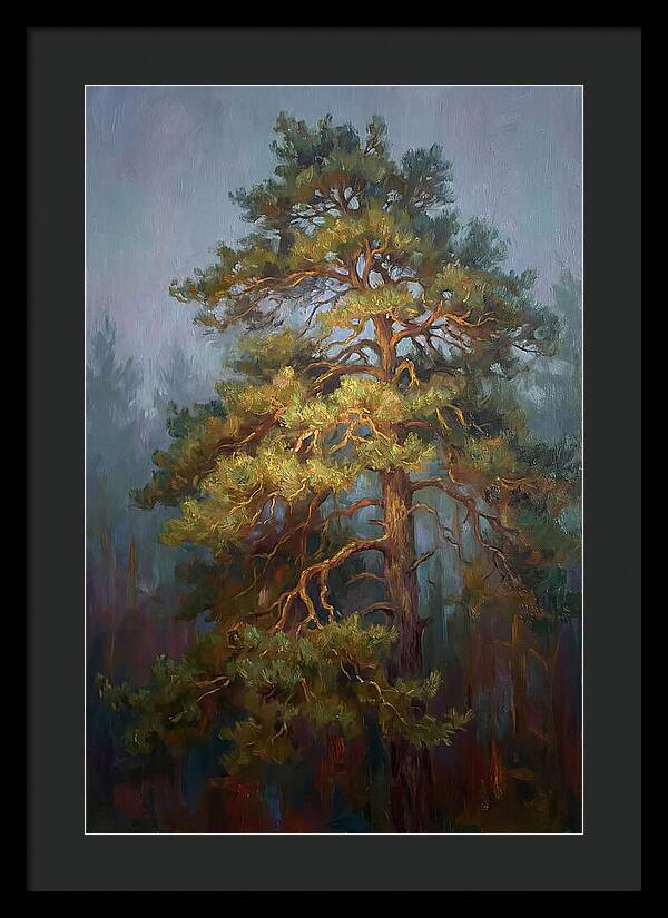 Pine Tree