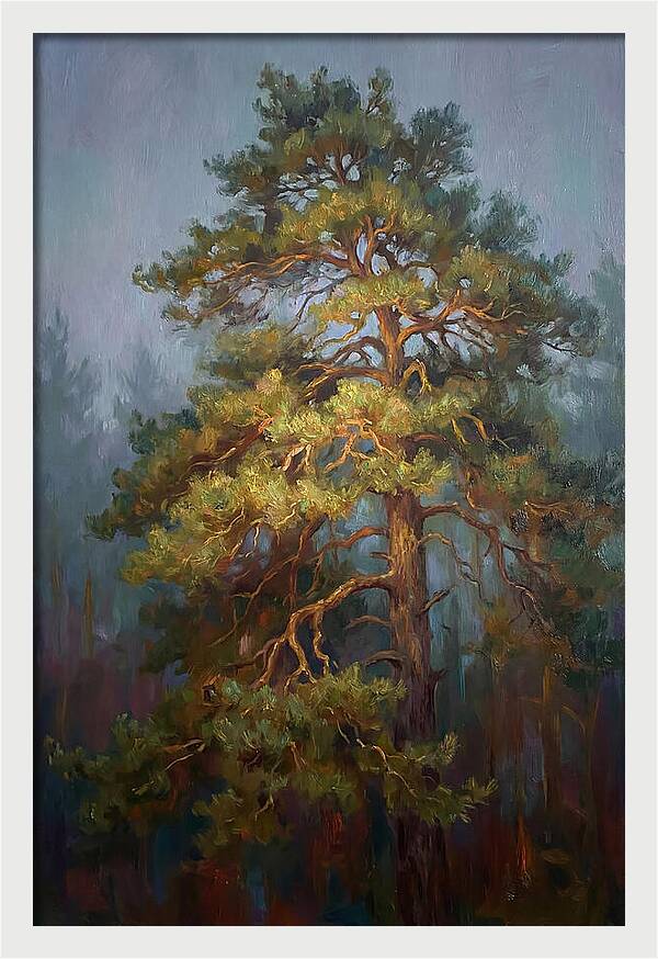 Pine Tree