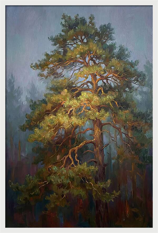 Pine Tree