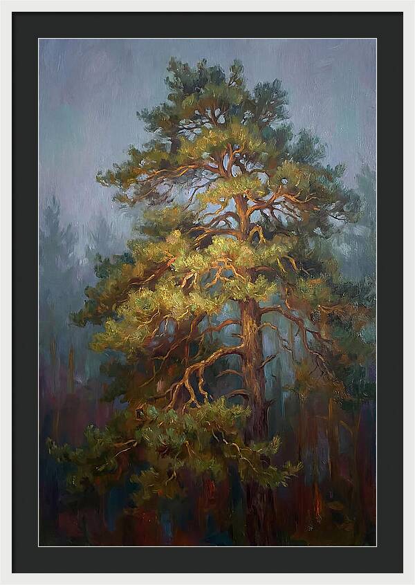 Pine Tree