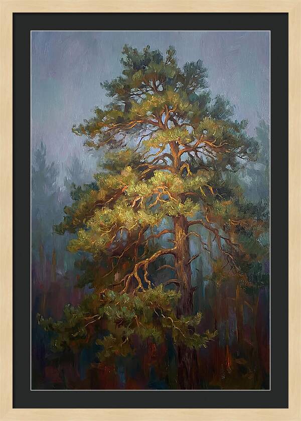 Pine Tree