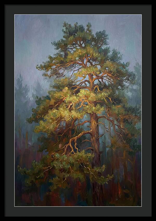 Pine Tree