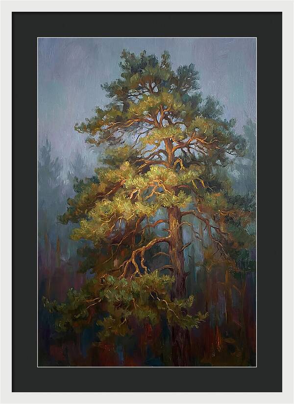 Pine Tree