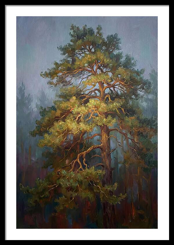 Pine Tree