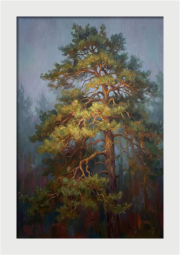 Pine Tree