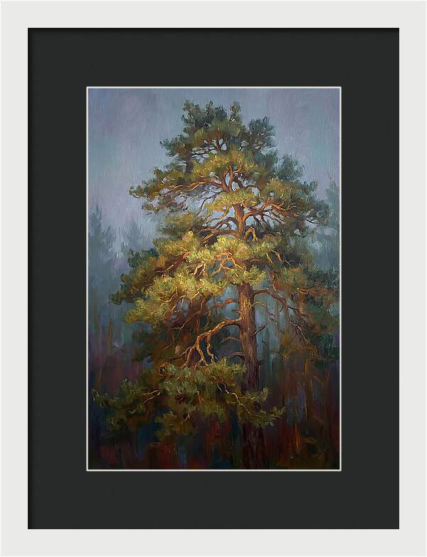 Pine Tree