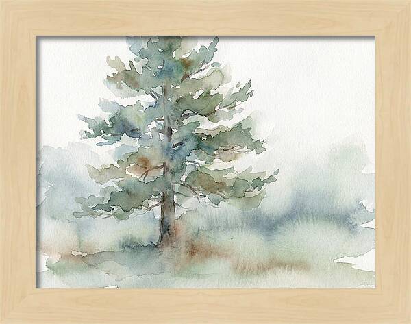 Pine Tree Serenity