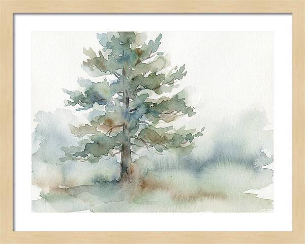 Pine Tree Serenity