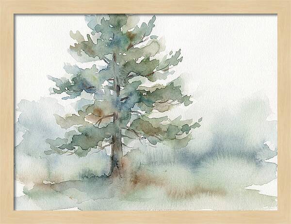 Pine Tree Serenity