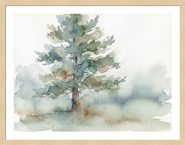 Pine Tree Serenity