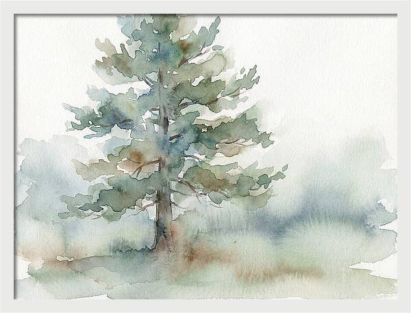 Pine Tree Serenity