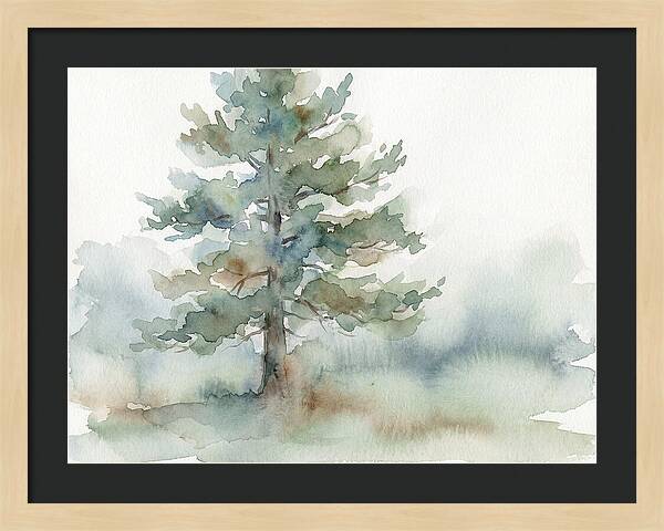 Pine Tree Serenity