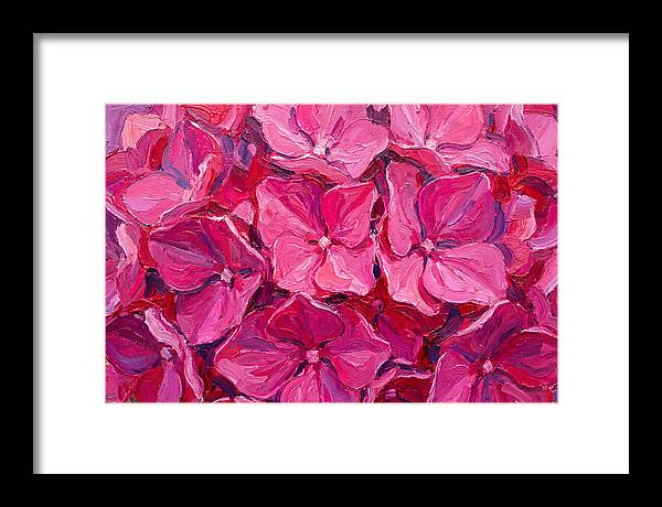 Pink Hydrangea Blooms