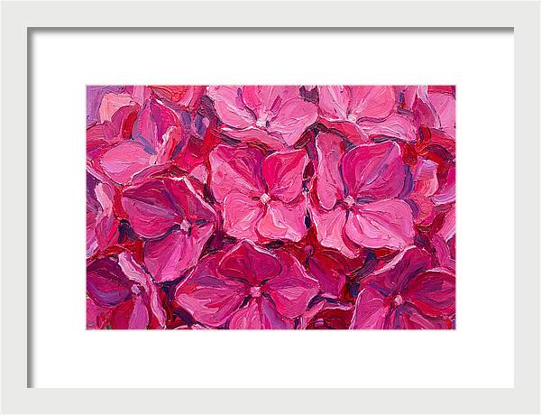 Pink Hydrangea Blooms