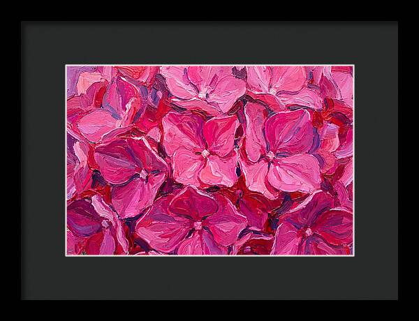 Pink Hydrangea Blooms