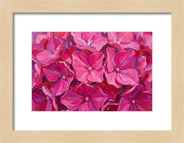 Pink Hydrangea Blooms