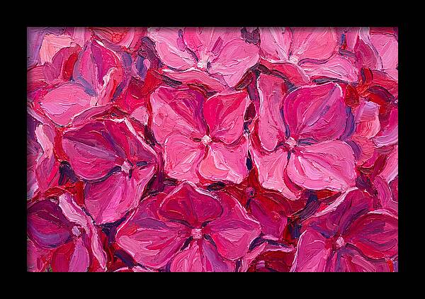 Pink Hydrangea Blooms