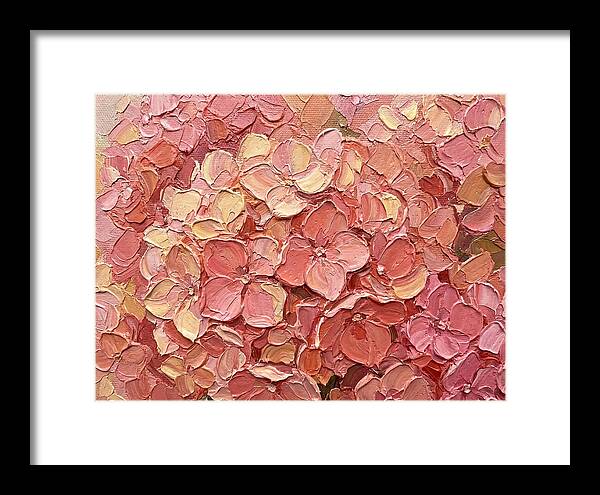 Pink Hydrangea Blossoms