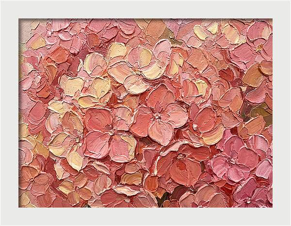 Pink Hydrangea Blossoms