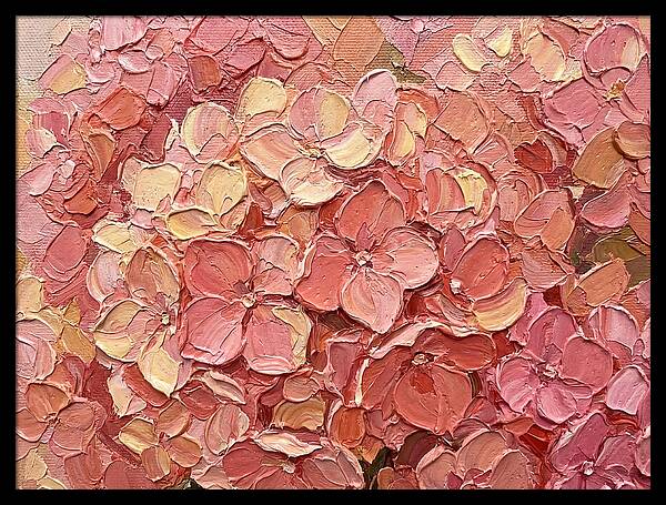 Pink Hydrangea Blossoms