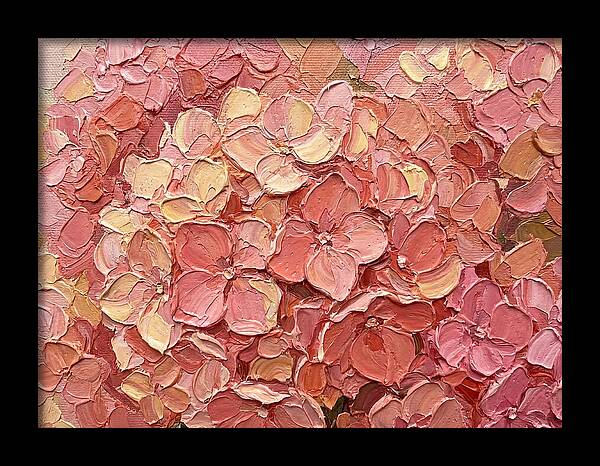 Pink Hydrangea Blossoms