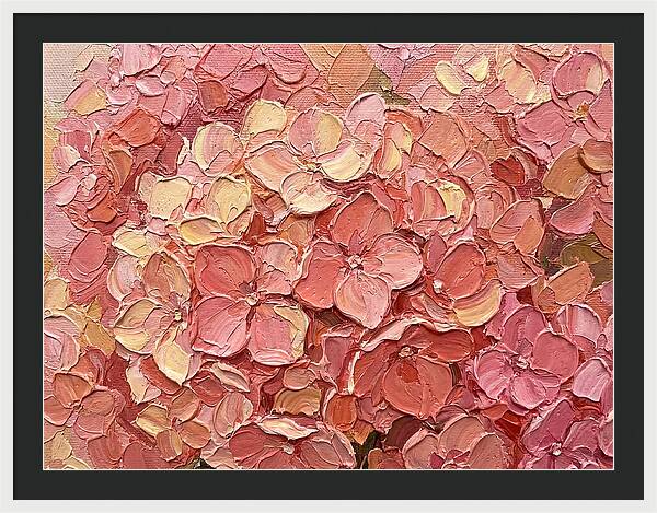 Pink Hydrangea Blossoms