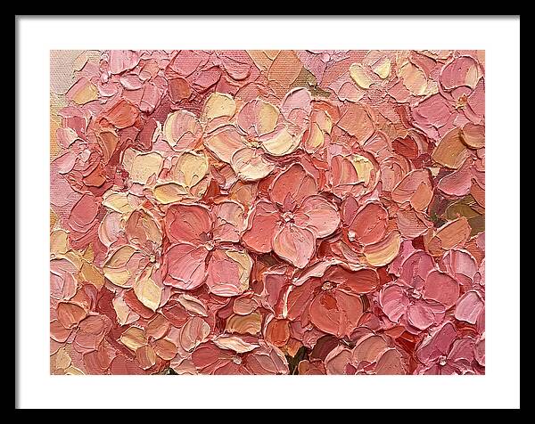 Pink Hydrangea Blossoms
