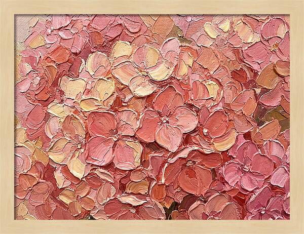 Pink Hydrangea Blossoms