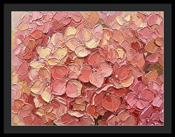 Pink Hydrangea Blossoms