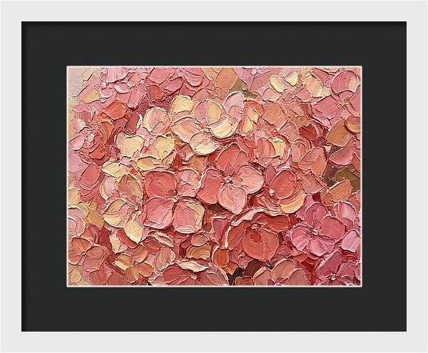 Pink Hydrangea Blossoms