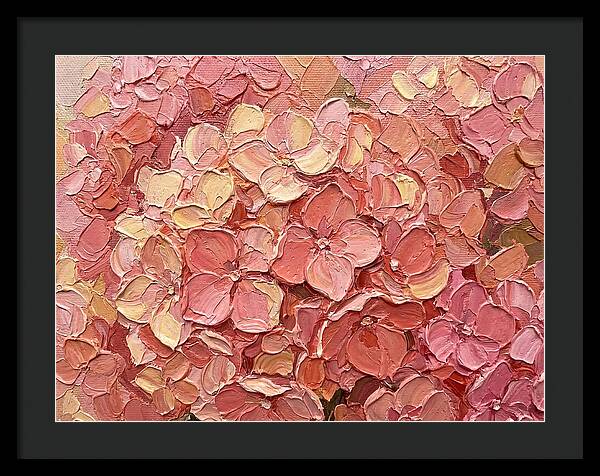 Pink Hydrangea Blossoms