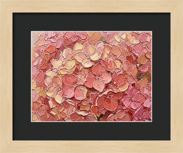 Pink Hydrangea Blossoms