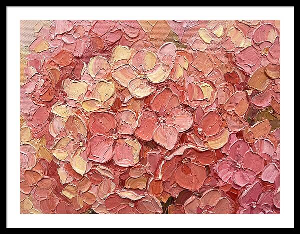 Pink Hydrangea Blossoms