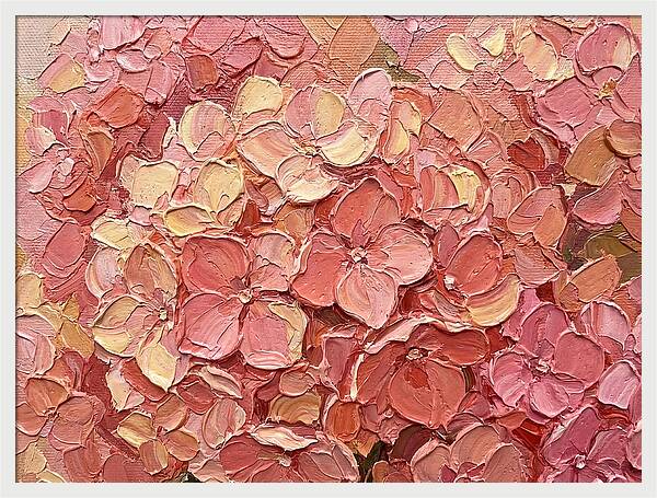 Pink Hydrangea Blossoms