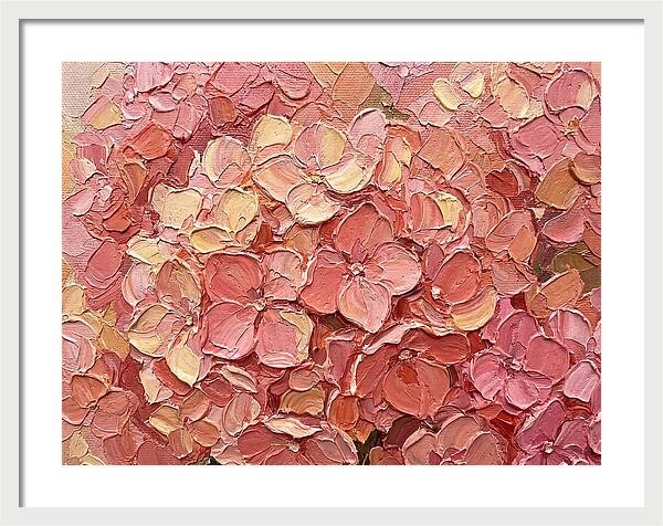 Pink Hydrangea Blossoms
