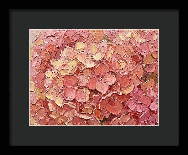 Pink Hydrangea Blossoms