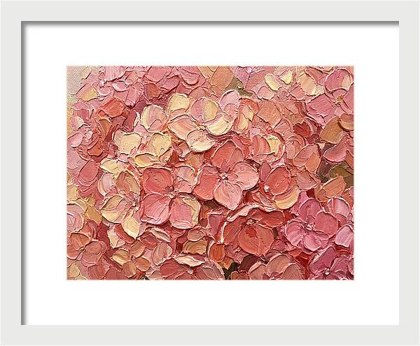 Pink Hydrangea Blossoms