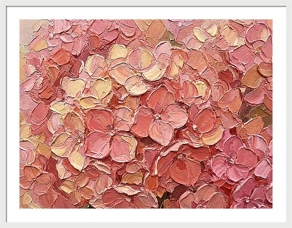 Pink Hydrangea Blossoms