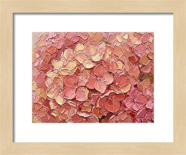 Pink Hydrangea Blossoms