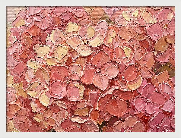 Pink Hydrangea Blossoms