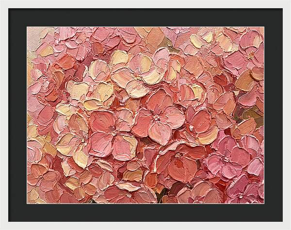Pink Hydrangea Blossoms