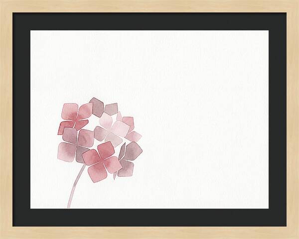 Pink Hydrangea Elegance