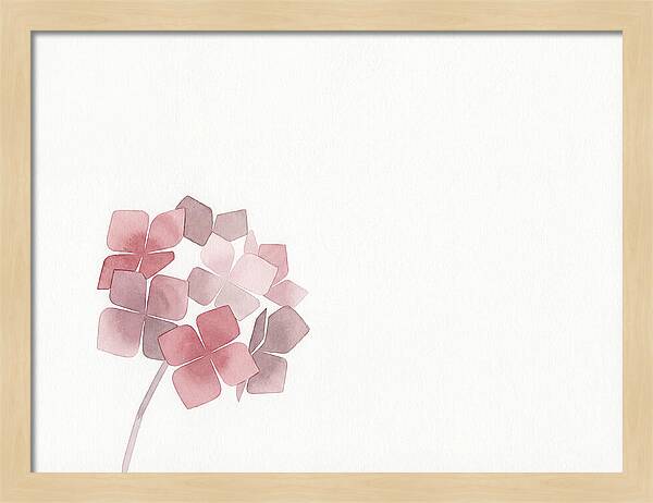 Pink Hydrangea Elegance